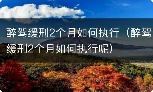 醉驾缓刑2个月如何执行（醉驾缓刑2个月如何执行呢）