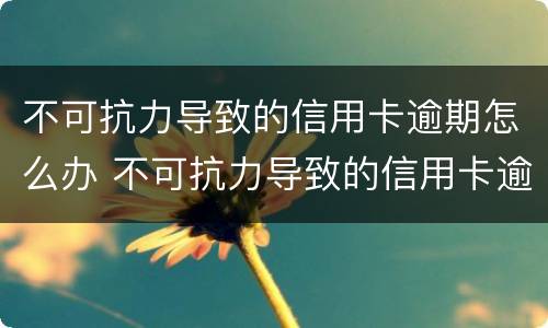 不可抗力导致的信用卡逾期怎么办 不可抗力导致的信用卡逾期怎么办呢