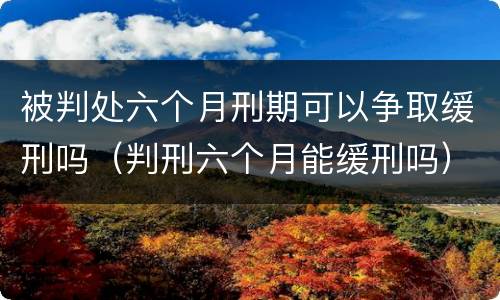 被判处六个月刑期可以争取缓刑吗（判刑六个月能缓刑吗）