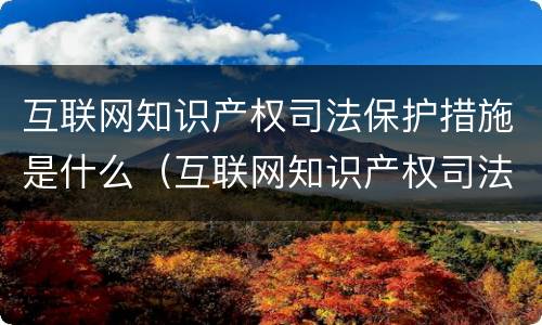 互联网知识产权司法保护措施是什么（互联网知识产权司法保护措施是什么内容）