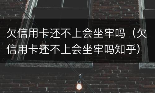欠信用卡还不上会坐牢吗（欠信用卡还不上会坐牢吗知乎）