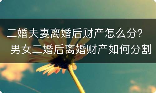 二婚夫妻离婚后财产怎么分？ 男女二婚后离婚财产如何分割