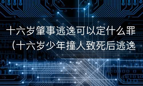 十六岁肇事逃逸可以定什么罪（十六岁少年撞人致死后逃逸）