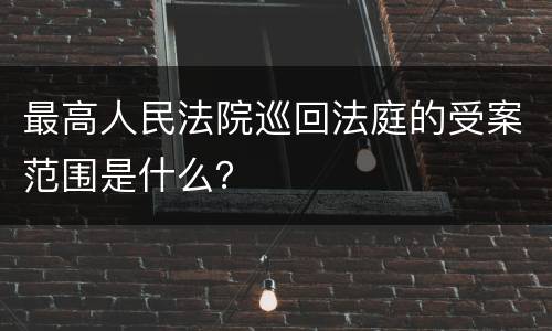 最高人民法院巡回法庭的受案范围是什么？