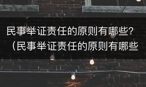 民事举证责任的原则有哪些？（民事举证责任的原则有哪些呢）