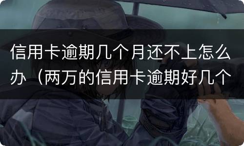 信用卡逾期几个月还不上怎么办（两万的信用卡逾期好几个月一直没还严重吗）
