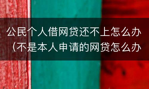 公民个人借网贷还不上怎么办（不是本人申请的网贷怎么办能消除吗）