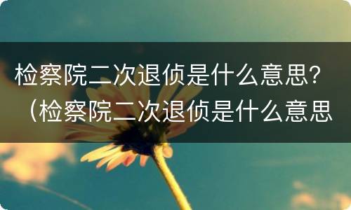 检察院二次退侦是什么意思？（检察院二次退侦是什么意思呀）