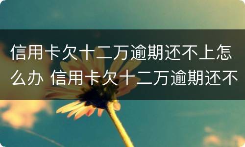 信用卡欠十二万逾期还不上怎么办 信用卡欠十二万逾期还不上怎么办呢