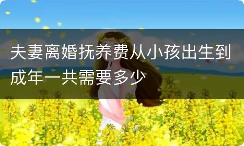 夫妻离婚抚养费从小孩出生到成年一共需要多少