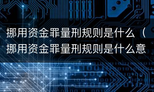 挪用资金罪量刑规则是什么（挪用资金罪量刑规则是什么意思）