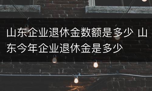 山东企业退休金数额是多少 山东今年企业退休金是多少