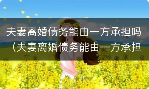 夫妻离婚债务能由一方承担吗（夫妻离婚债务能由一方承担吗怎么算）