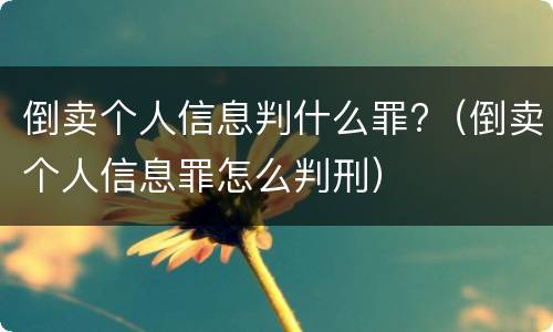 倒卖个人信息判什么罪?（倒卖个人信息罪怎么判刑）