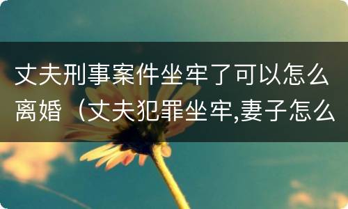 丈夫刑事案件坐牢了可以怎么离婚(丈夫犯罪坐牢,妻子怎么离婚)