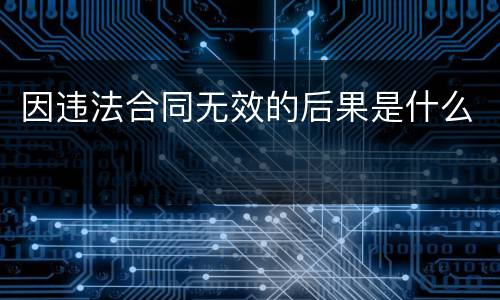 因违法合同无效的后果是什么