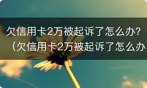 欠信用卡2万被起诉了怎么办？（欠信用卡2万被起诉了怎么办理）