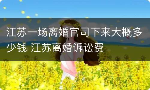 江苏一场离婚官司下来大概多少钱 江苏离婚诉讼费