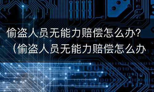 偷盗人员无能力赔偿怎么办？（偷盗人员无能力赔偿怎么办）