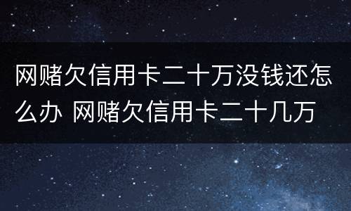 网赌欠信用卡二十万没钱还怎么办 网赌欠信用卡二十几万