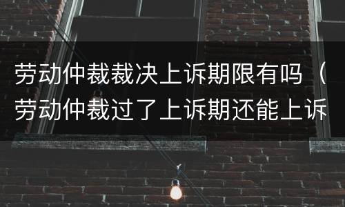 劳动仲裁裁决上诉期限有吗（劳动仲裁过了上诉期还能上诉吗）