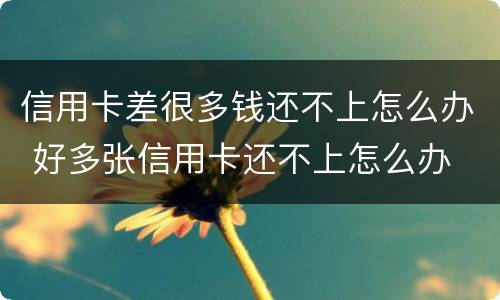 信用卡差很多钱还不上怎么办 好多张信用卡还不上怎么办