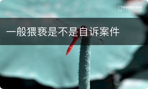 一般猥亵是不是自诉案件