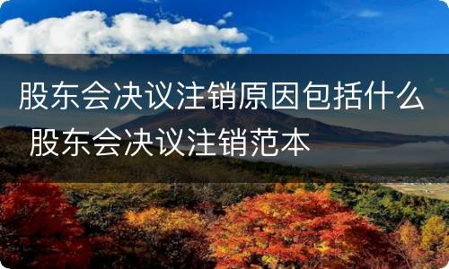 股东会决议注销原因包括什么 股东会决议注销范本