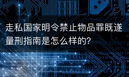 走私国家明令禁止物品罪既遂量刑指南是怎么样的？