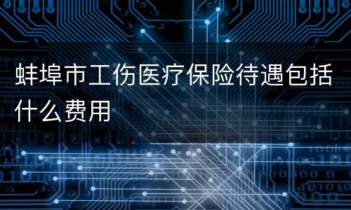 蚌埠市工伤医疗保险待遇包括什么费用