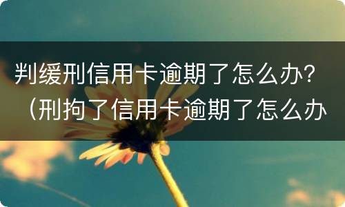 判缓刑信用卡逾期了怎么办？（刑拘了信用卡逾期了怎么办）