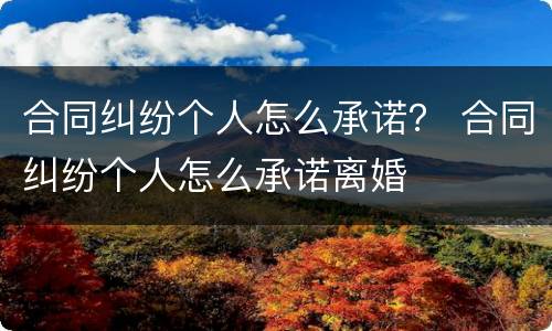 合同纠纷个人怎么承诺？ 合同纠纷个人怎么承诺离婚