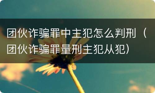 团伙诈骗罪中主犯怎么判刑（团伙诈骗罪量刑主犯从犯）