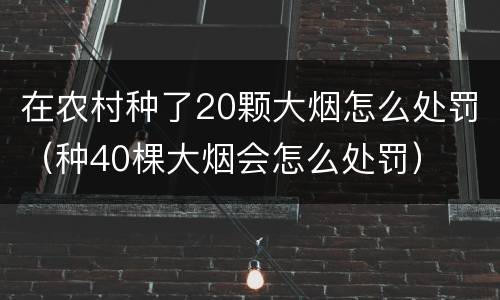在农村种了20颗大烟怎么处罚（种40棵大烟会怎么处罚）