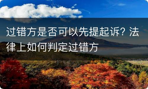 过错方是否可以先提起诉? 法律上如何判定过错方