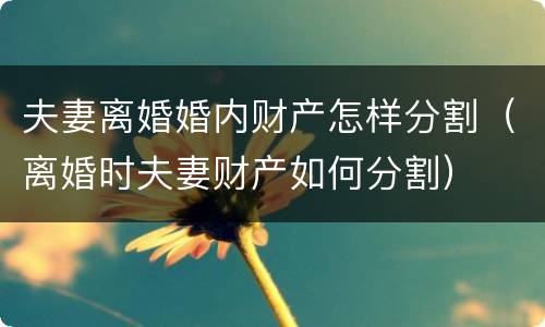 夫妻离婚婚内财产怎样分割（离婚时夫妻财产如何分割）