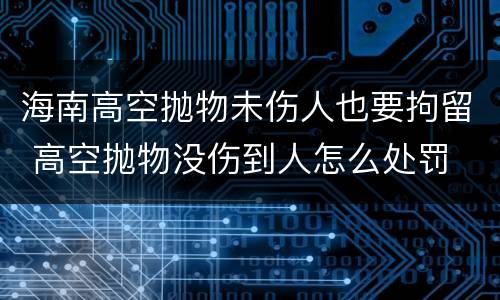 海南高空抛物未伤人也要拘留 高空抛物没伤到人怎么处罚