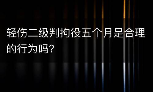 轻伤二级判拘役五个月是合理的行为吗？