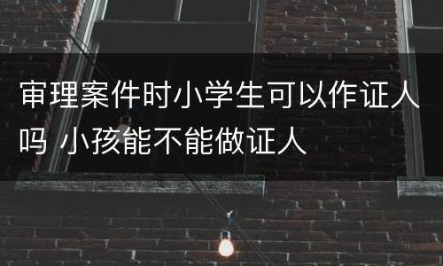 审理案件时小学生可以作证人吗 小孩能不能做证人