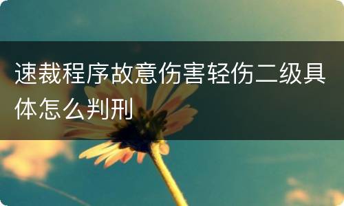 速裁程序故意伤害轻伤二级具体怎么判刑