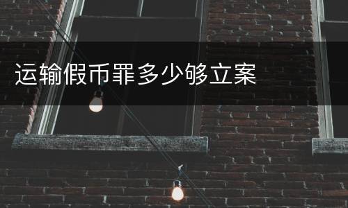 运输假币罪多少够立案