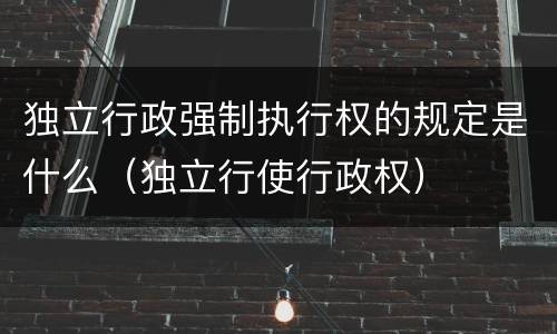 独立行政强制执行权的规定是什么（独立行使行政权）