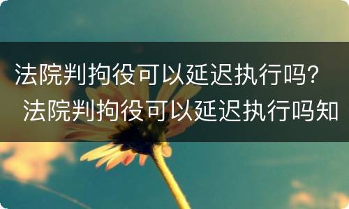 法院判拘役可以延迟执行吗？ 法院判拘役可以延迟执行吗知乎