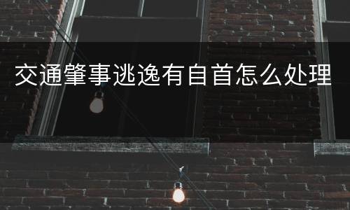 交通肇事逃逸有自首怎么处理