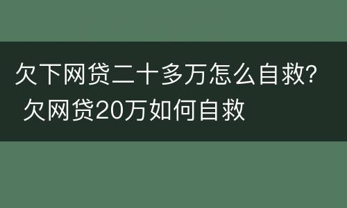 欠下网贷二十多万怎么自救？ 欠网贷20万如何自救