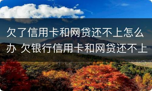 欠了信用卡和网贷还不上怎么办 欠银行信用卡和网贷还不上怎么办