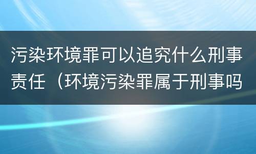 污染环境罪可以追究什么刑事责任（环境污染罪属于刑事吗）