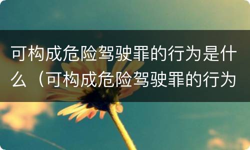 可构成危险驾驶罪的行为是什么（可构成危险驾驶罪的行为是什么意思）
