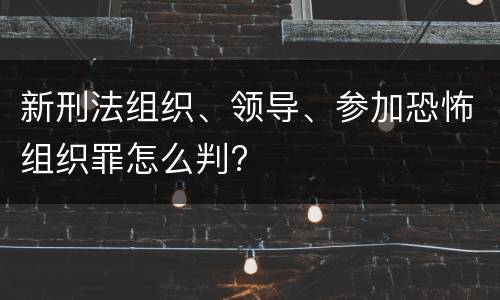 新刑法组织、领导、参加恐怖组织罪怎么判?