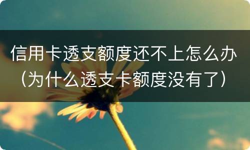 信用卡透支额度还不上怎么办（为什么透支卡额度没有了）